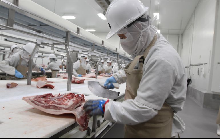 Entre enero y julio de 2019 se enviaron a EU 9 mil 807 toneladas de carnde de cerdo. EL INFORMADOR/Archivo