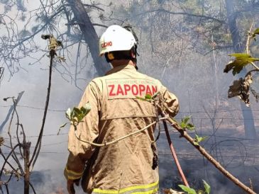 Elementos de la Coordinación Municipal de Protección Civil y Bomberos de Zapopan trabajan para extinguirlo. X / @UMPCyBZ