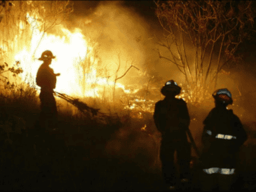 En total desde el primero de enero hasta el corte del 25 de abril se habían incendiado 23 mil 413 hectáreas en 430 siniestros. EL INFORMADOR / ARCHIVO