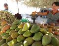 En esta temporada de calor, los mangos son de las frutas más consumidas y además de ricos, son una gran fuente de vitaminas, minerales, agua y fibra. EL INFORMADOR / ARCHIVO