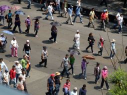 Manifestación de un grupo de barzonistas e integrantes de la CNTE, en la calle de Bucareli, en la ciudad de México. NTX  /