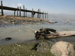 La contaminación en Jalisco por la falta de un programa ecológico. ARCHIVO  /