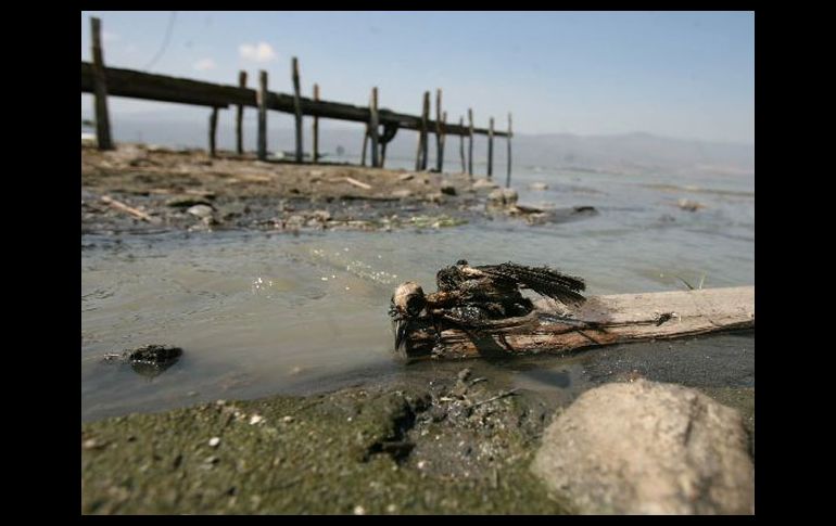 La contaminación en Jalisco por la falta de un programa ecológico. ARCHIVO  /