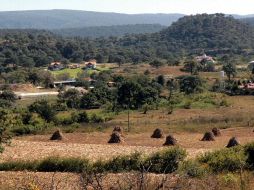 Se reconoce a los servicios ambientales del Bosque La Primavera como esenciales. ARCHIVO  /