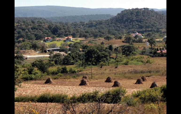 Se reconoce a los servicios ambientales del Bosque La Primavera como esenciales. ARCHIVO  /