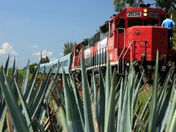 El tren Tequila Express forma parte de los atractivos que ofrece la Ruta del Tequila. ESPECIAL  /