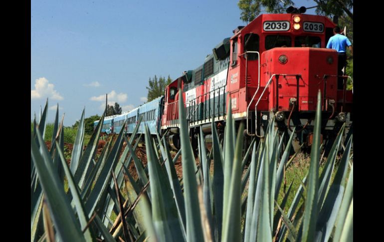 El tren Tequila Express forma parte de los atractivos que ofrece la Ruta del Tequila. ESPECIAL  /