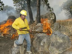 Urge en el Bosque La Primavera un atlas de riesgo para delimitar las áreas de peligro. ARCHIVO  /