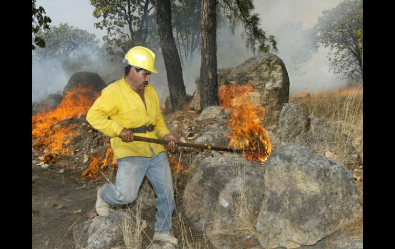 Urge en el Bosque La Primavera un atlas de riesgo para delimitar las áreas de peligro. ARCHIVO  /