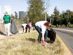 Brigadas urbanas limpian la basura de la avenida Patria. E. PACHECO  /