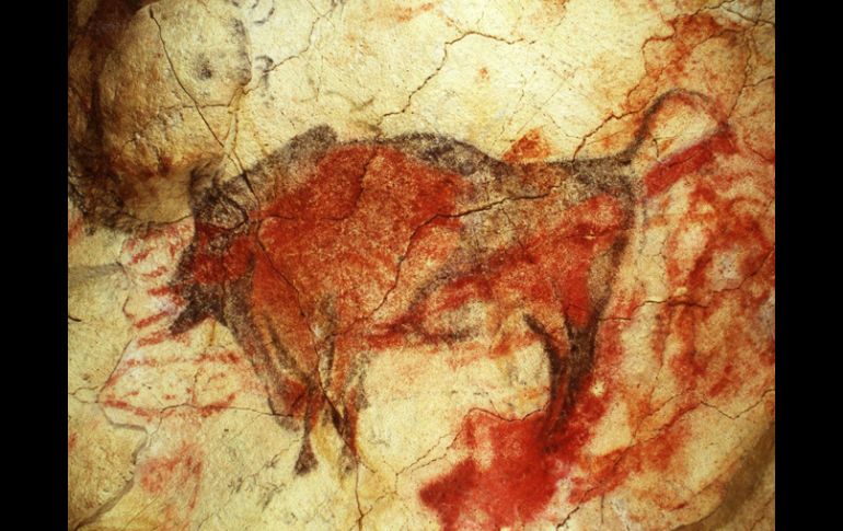 Fotografía de las pinturas rupestres en las Cuevas de Altamira, en la que puede verse un gran techo con bisontes. AP  /