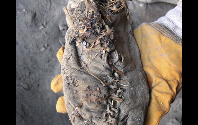 Es de pequeño tamaño y ha sido encontrado por un equipo internacional de arqueólogos en una cueva en Armenia. EFE  /