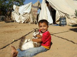 Un niño palestino, juega en la Franja de Gaza. La casa de campaña a sido su “hogar” desde que la ofensiva israelí atacó Palestina. AP  /