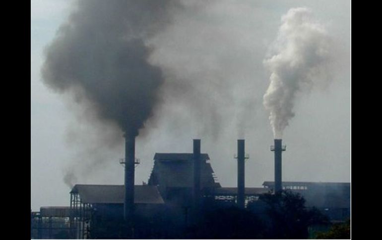 Gracias a dicho programa en la industria azucarera existe paz laboral. EL UNIVERSAL  /