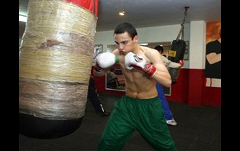 Chávez Jr. lleva cinco semanas entrenando con Freddy Roach, esperando mejorar sus condiciones boxísticas. SUN  /