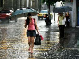 Las lluvias y las altas temperaturas incrementan los riesgos de enfermedades. ARCHIVO  /