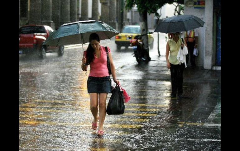 Las lluvias y las altas temperaturas incrementan los riesgos de enfermedades. ARCHIVO  /