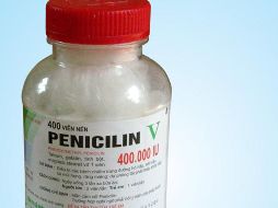 Han logrado identificar las 980 proteínas que integran el proteoma del hongo de la penicilina. ESPECIAL  /