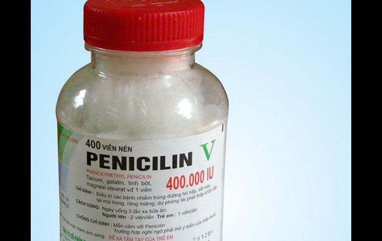 Han logrado identificar las 980 proteínas que integran el proteoma del hongo de la penicilina. ESPECIAL  /