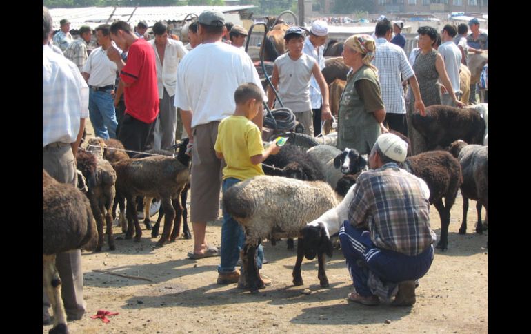 • Granjeros hacen negocios en un tianguis de cabras. La economía kirguisa es predominantemente agrícola y ganadera. ESPECIAL  /