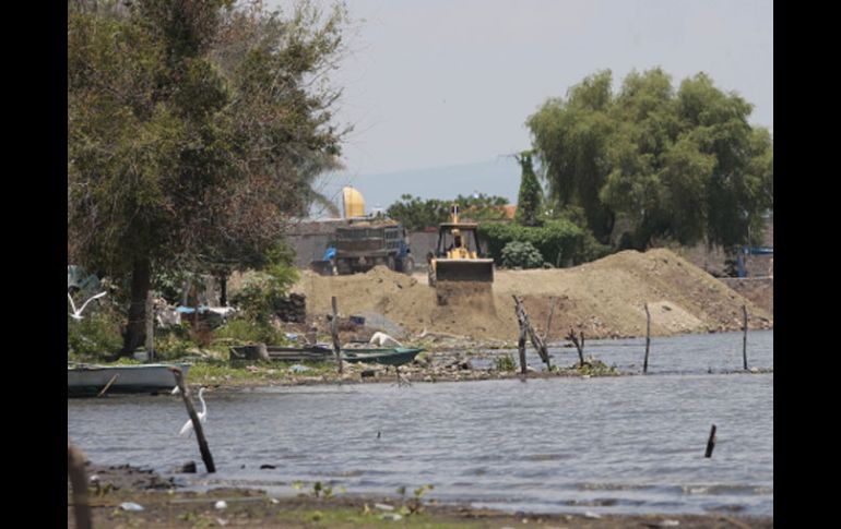 Las autoridades municipales no han podido detener los trabajos ilegales de relleno que atentan contra el Lago de Chapala. S. NUÑEZ  /