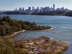 El Gobierno de Canadá facilita trámites migratorios a los mexicanos para que concreten viajes a ese país. AFP  /