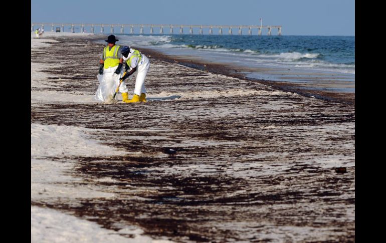 La 'marea negra' ha llegado a las costas de Florida, en Estados Unidos. AP  /