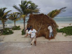 Trabajadores retiran una palapa de la playa en Cancún, como medida de seguridad, ante la llegada de la tormenta tropical ‘‘Alex’’. AP  /