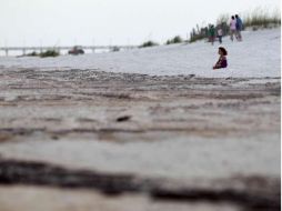 Técnicos de ciencias marinas declaran que las condiciones propiciadas por el huracán eliminan el progreso logrado en limpieza. AP  /