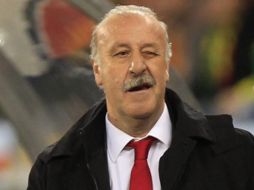 El técnico de la Selección española, Vicente del Bosque. REUTERS  /