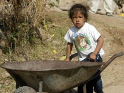 El cultivo de caña y hortalizas representan una fuente de explotación laboral en los municipios de la Costa Sur de Jalisco. ARCHIVO  /