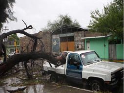 Los embates de Alex se han dejado sentir en varias ciudad fronterizas, causando serios daños de infraestructura. NTX  /