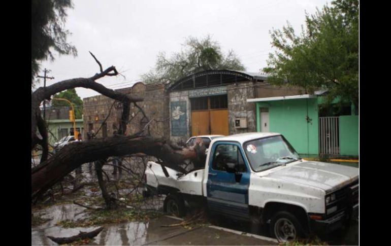 Los embates de Alex se han dejado sentir en varias ciudad fronterizas, causando serios daños de infraestructura. NTX  /