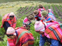 Los campesinos hicieron suyo el proyecto al darse cuenta que la energía solar puede ser utilizada para cocinar. ESPECIAL  /