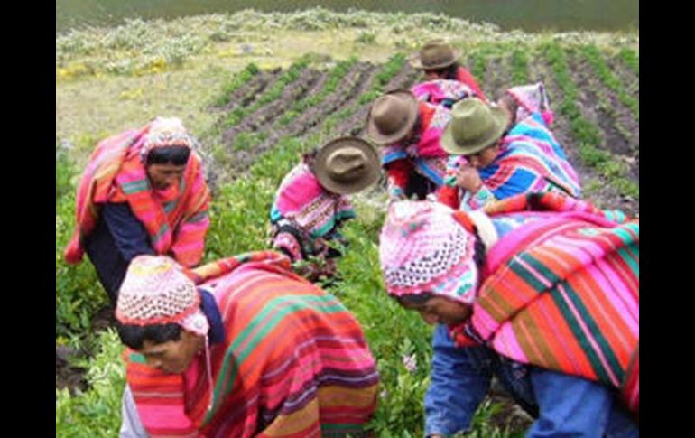 Los campesinos hicieron suyo el proyecto al darse cuenta que la energía solar puede ser utilizada para cocinar. ESPECIAL  /