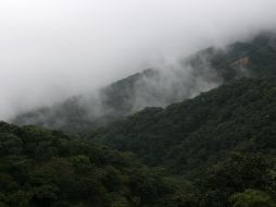 La Sierra del Águila tiene una extensión territorial de 20 mil 746 hectáreas. ESPECIAL  /