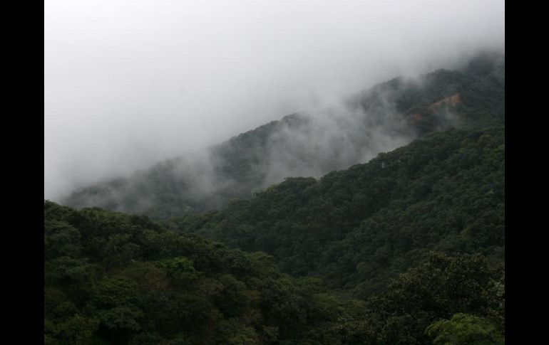 La Sierra del Águila tiene una extensión territorial de 20 mil 746 hectáreas. ESPECIAL  /