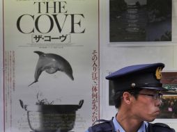 El filme explora la matanza de delfines en un pueblo de Japón. AP  /