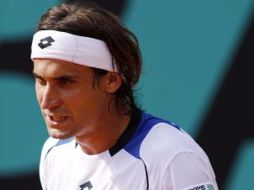 El tenista español, David Ferrer. SUN  /