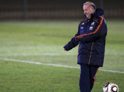 El director técnico de la Selección de España, Vicente del Bosque. REUTERS  /