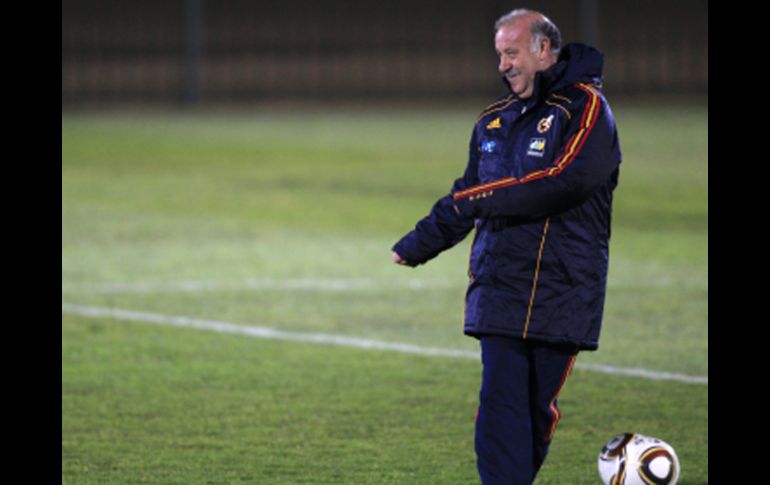 El director técnico de la Selección de España, Vicente del Bosque. REUTERS  /