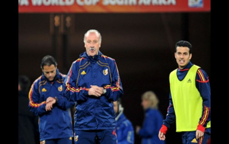 Vicente del Bosque luce relajado en el último entrenamiento de la Selección española. EFE  /