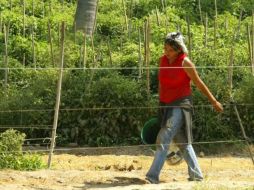 En nuestro país las mujeres también deben realizar otras labores aparte del trabajo doméstico. INFORMADOR ARCHIVO  /