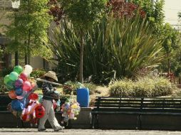 Consideran que trabajen infantes es una clara violación a los derechos de los niños vinculado a la pobreza. E PACHECO  /