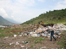 Restos de animale y residuos de manejo especial, que se encontraron en el basurero de Jocotepec, contravienen la normatividad. ESPECIAL  /