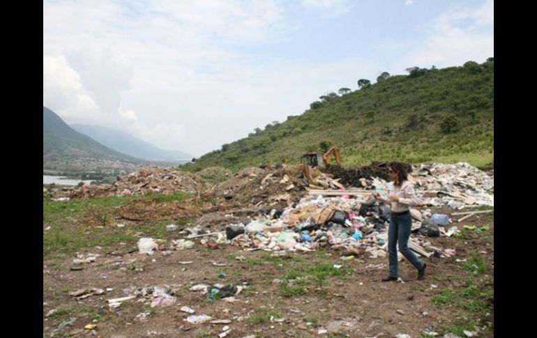 Restos de animale y residuos de manejo especial, que se encontraron en el basurero de Jocotepec, contravienen la normatividad. ESPECIAL  /