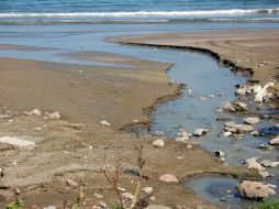 Las costas también tienen que llevar el peso de tanta basura que se arroja al mar. ESPECIAL  /