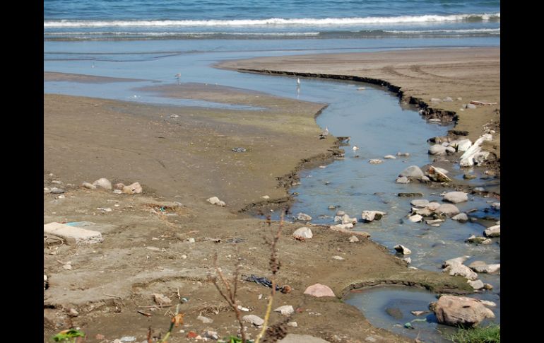 Las costas también tienen que llevar el peso de tanta basura que se arroja al mar. ESPECIAL  /