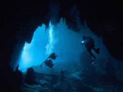 De ocho mil cenotes registrados en el Caribe mexicano, sólo 200 han sido explorados. EFE  /