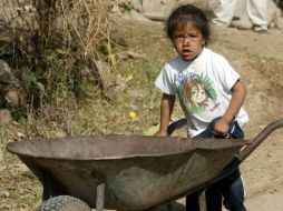 El trabajo infantil en niños menores de 13 años constituye una violación a la ley y a sus derechos humanos. ARCHIVO  /